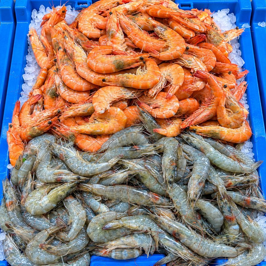Bandeja de pescado y marisco fresco sobre hielo